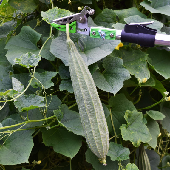 Tesoura de Jardim Longa em Alumínio para Cortar e Segurar | KSEIBI