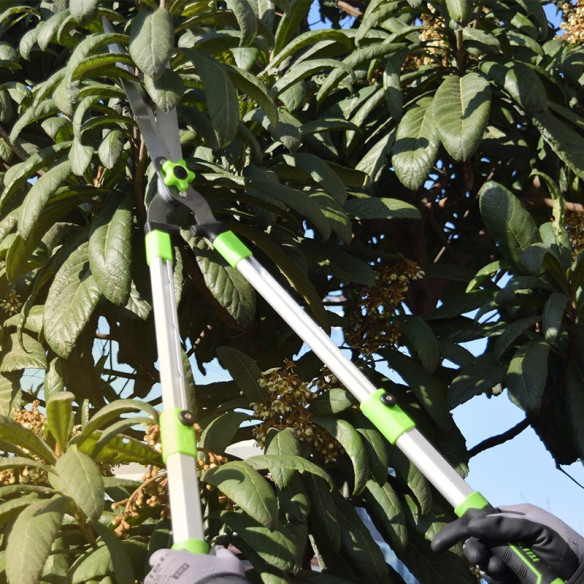 Aluminum Telescoping Garden Shears, Gardening tools, telescopic lawn shears, long handled shears, long handled hedge shears